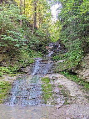 Ormanda temiz suyu olan bir dağ şelalesi..