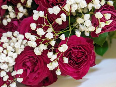 Bir buket taze kırmızı gül, parlak çiçek arkaplanı. Kapat.