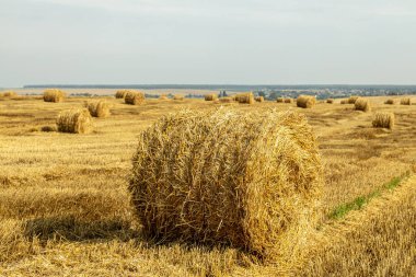 Sonu gelmez saman balyalarıyla.