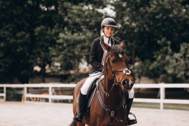 Young woman in special uniform and helmet riding horse. Equestrian sport - dressage.