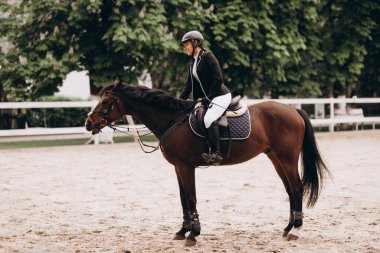 Binicilik bakmakta. En sevdiği atını önemli dolarını önce yatıştırıcı bakım profesyonel Binicilik
