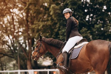 Equestrian sport - a young girl is riding a horse
