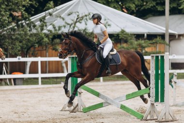 At Atlama, Binicilik Sporları, Atlama Yarışması temalı fotoğrafı göster