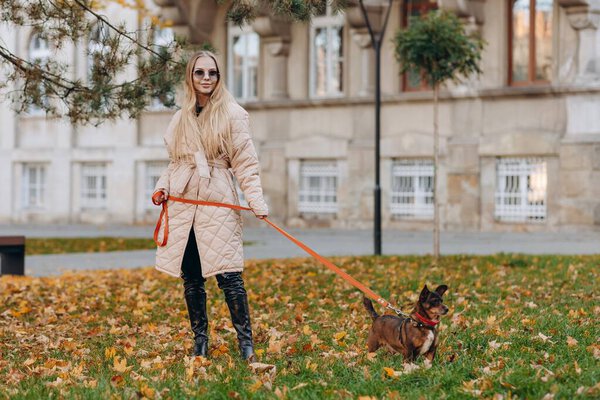 A stylish girl with loose hair and glasses on her eyes, wearing a black sweater, a beige raincoat and high black boots, stands in the park under the tree against the background of a beautiful gray house and holds her dog on a red leash