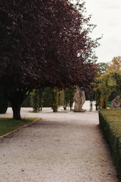 Sonbahar mevsiminde güzel bir park