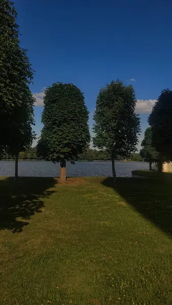 Kenarında uzun, yeşil ağaçlar olan bir göl manzarası.