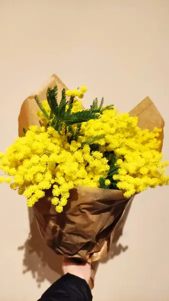 Bir buket sarı mimoza çiçeğini tutan el..