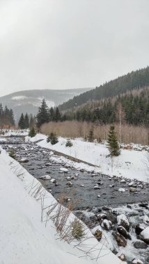 Karlı bir dağ manzarasında akan bir nehir.
