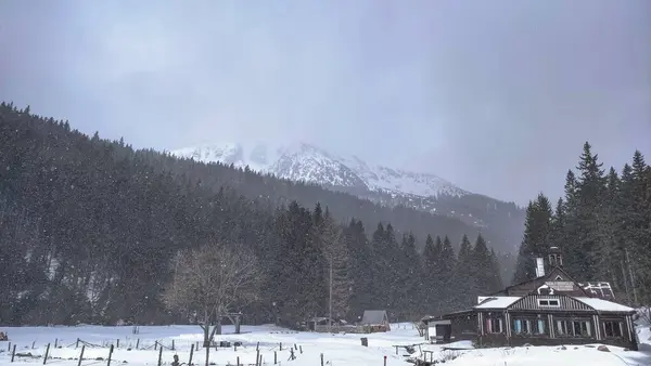 Dağlardaki bir kulübeye kar yağıyor, arkasında bir orman var..