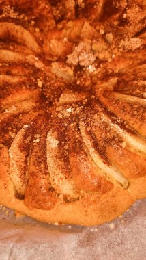 Altından kabuklu ve tarçınlı sıcak elmalı tart..