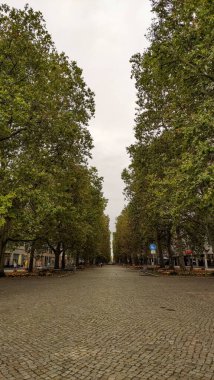 Yapraklı ağaçlarla çevrili sakin bir kaldırım taşı caddesi..