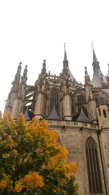 Kutna Hora, Çek Cumhuriyeti - 28 Ekim 2023: Saint Barbaras Kilisesi sonbahar portakal ağacı manzarası. Dikey mobil fotoğraf. Sstkdikey. Yüksek kalite fotoğraf