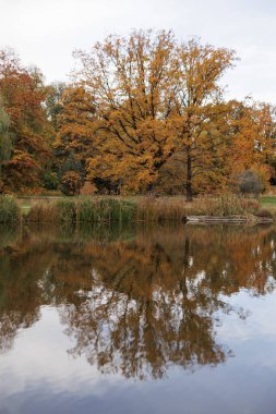 Sakin suda yansıtılan canlı sonbahar renkleri.