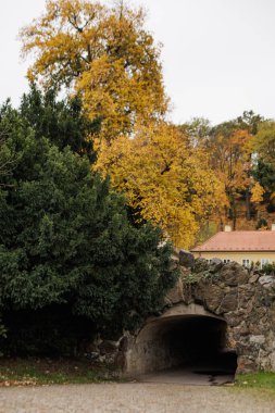 Sonbahar yaprakları eski bir taş kemer yolunu çerçeveliyor.