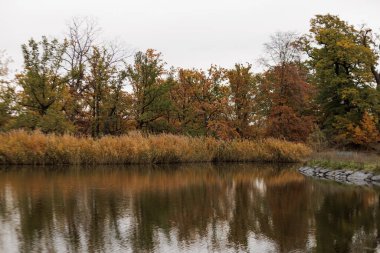 Suyun yanında sonbahar yapraklı ağaçlar.