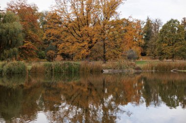 Sonbahar renkleri durgun suya güzel yansıyor.