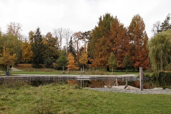 Sonbahar renkleri sakin park manzarasını süslüyor.