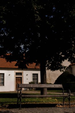 Prag, Çek Cumhuriyeti - 21 Eylül 2023: Brevnov Manastırı Parkta bir ağaç altında bir bank duruyor.