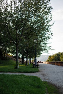 Prag, Çek Cumhuriyeti - 12 Eylül 2023: Ağaçlarla çevrili Vysehrad Yolu ve bir sokak lambası