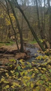 Nehir sonbahar renklerinde akar.