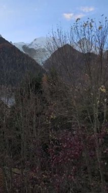 Hafif bir esinti, Fransız Alpleri 'ndeki ağaçların yapraklarını hışırdatır. Uzakta beyaz şarap görülür. Chamonix, Fransa Kasım 'da