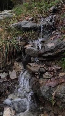 Fransa 'nın Chamonix kentindeki küçük bir şelalede kayaların üzerinden sular akar.