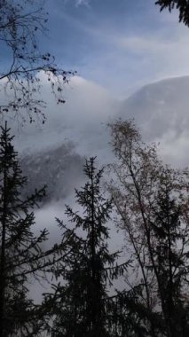 Sis, sonbaharda Chamonix vadisinde yavaşça eriyor. Fransa 'nın Kasım ayında Les Houches şehrinde yapraklarla kaplı bir orman yolunu ortaya çıkarıyor.