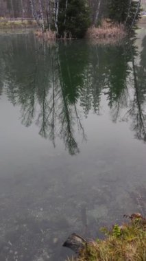 Kamera Chamonix, Fransa yakınlarındaki lac des gaillands 'a bakıyor. Sudaki ağaçların yansımalarını gösteriyor. Chamonix, Fransa Kasım 'da