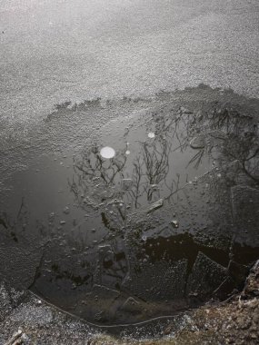 Soğuk bir Aralık gününde Prag, Czechia 'daki çıplak ağaçları yansıtan kısmen donmuş gölet Doğa Parkı Smetanka