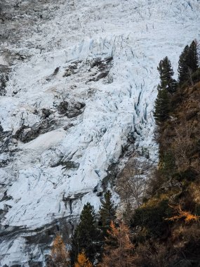 Sonbahar ağaçları Chamonix, Fransa 'da eriyen bir Buzul çerçevesi oluşturarak, iklim değişikliğinin Alp çevresi üzerindeki etkilerini vurguluyor.