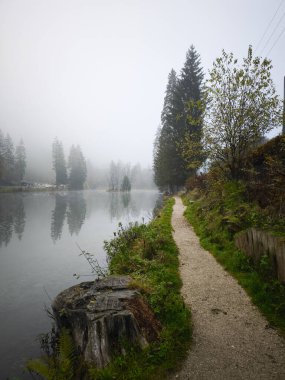 Chamonix, Fransa 'da Gaillands Gölü boyunca kıvrılan çakıl yolu sonbaharın dingin güzelliğini gözler önüne seriyor.