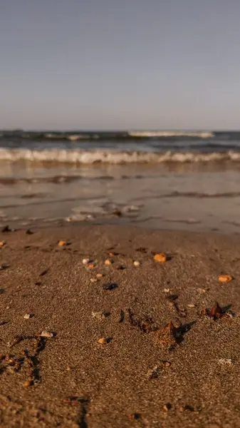 Gün batımında Marsa Alam, Mısır 'ın kumlu sahillerinde deniz kabukları ve çakıl taşlarının üzerinde hafif dalgalar süzülüyor.