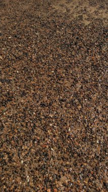 Close up of wet pebbles forming a beautiful natural pattern on the shore of the red sea, perfect for backgrounds and textures clipart