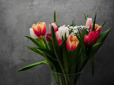 Renkli laleler, nötr gri arkaplanı parlatıyor, bahar çiçekli zarafeti ve Sevgililer Günü için doğal canlılığı ön plana çıkarıyor.