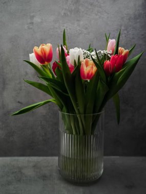 Canlı lale buketi şık bir Prag 'ın içini parlatıyor, bahar esansı ve doğal güzellikle dolduruyor Anneler Günü için sevgililer günü için uzay kopyaları.