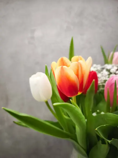 Bir vazoyu dolduran canlı laleler Prag, Czechia 'da romantik bir sevgililer günü atmosferi yaratır. Renkli çiçekleriyle aşkı kutlarlar.