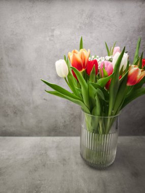 Cam bir vazoda düzenlenmiş canlı laleler Sevgililer Günü neşesiyle bir Prag ayarı hazırlıyorlar, baharda aşk ve romantizmi kutluyorlar.