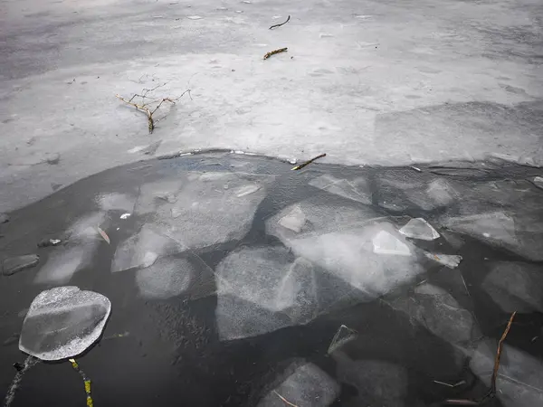 Koyu, kısmen donmuş bir göl yüzeyinde eriyen buz kütleleri etrafa saçılmış küçük dallar ve dallarla Prag 'da sakin bir kış manzarası yaratıyor, Çeshia Kyjsky gölünde balık tutuyor.