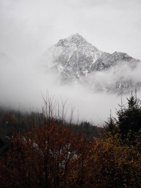 Dağ manzarası, Fransız Alp Dağları 'ndaki Chamonix Alp Vadisi' nin etrafındaki sisli sonbahar ormanlarının üzerinde yükselen kar tozlu tepeleri gözler önüne seriyor.