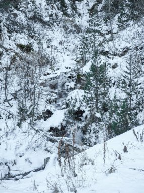 İtalya 'nın Aosta kentindeki sakin kış sahnesinde, Kasım ayında ağaçların arasından çağlayan küçük bir şelale ile karla kaplı bir orman görülüyor.