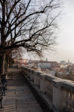 Prague, Czech Republic - February 7, 2025: Morning view from Havlickovy Sady, a peaceful Italian Renaissance-style park with leafless trees, stone balustrades, and historic city rooftops clipart