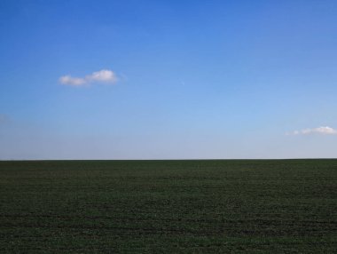 Prag 'da, Czechia' da az bulutla yeşil alan mavi gökyüzü buluşuyor, basit doğa manzarası sunuyor.