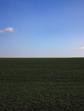 Açık mavi gökyüzünün altında uzanan dikey yeşil alan Prag, Czechia 'da az bulutla huzurlu ve huzurlu bir manzara sunuyor.
