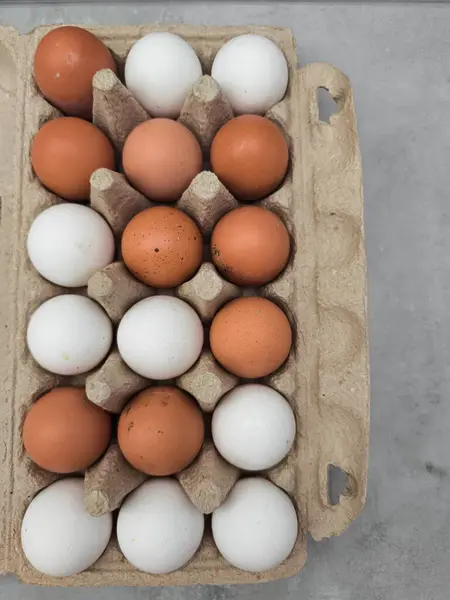 Taze kahverengi ve beyaz tavuk yumurtalarıyla dolu karton, Paskalya kahvaltısı için mükemmel ya da pişirme tarifleri ve mutfak kreasyonlarına eklenerek, resim ve tatil sanatları için hazır.