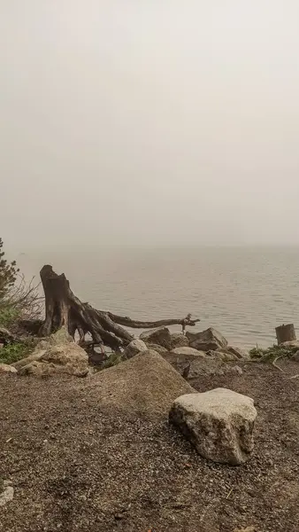Yüksek Tatra dağlarının görüşünü engelleyen sis ön planda kayalar ve sürüklenen dallarla dolu pleso gölünü yansıtıyordu.