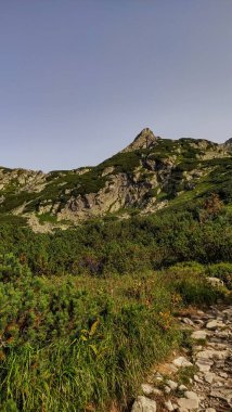 Slovakya 'nın yüksek Tatra Dağları' ndaki görkemli Rysy zirvesine doğru giden kayalık yürüyüş yolunun manzarası.