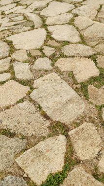 Taşların arasında çimen büyüyen bir taş kaldırıma yakın, Slovakya 'nın yüksek tatra dağlarında kırsal ve doğal bir görünüm yaratıyor.