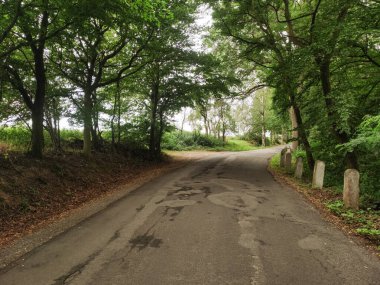 Asfalt yol, beton yığınlarıyla çevrili sık bir ormana doğru kıvrılır ve Kokorin, Cezayir 'de sakin ve davetkar bir manzara yaratır.