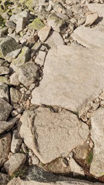 Slovakya 'daki yüksek Tatra dağlarının engebeli arazisinden geçen taş patika, yürüyüşçülere güvenli geçiş imkanı sunuyor.