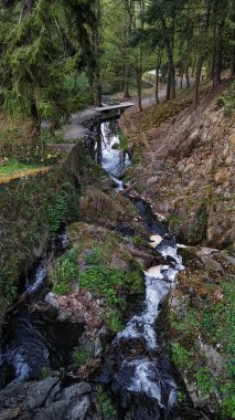 Nehrin üzerindeki küçük ahşap köprünün manzarası. Etrafı yemyeşil ve kayalarla çevrili. Pruhonice, Czechia.